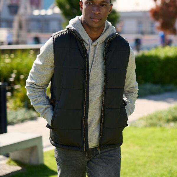 Regatta Professional Regatta Altoona Insulated Bodywarmer MWTRA806 Regatta Altoona Insulated Bodywarmer Thumbnail